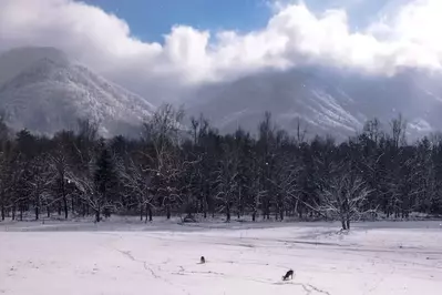 snow covering the mountains and valley in cades cove