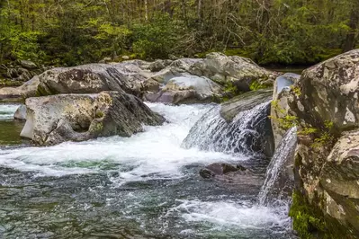 forest creek great smoky mountains