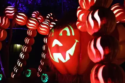 dollywood pumpkins