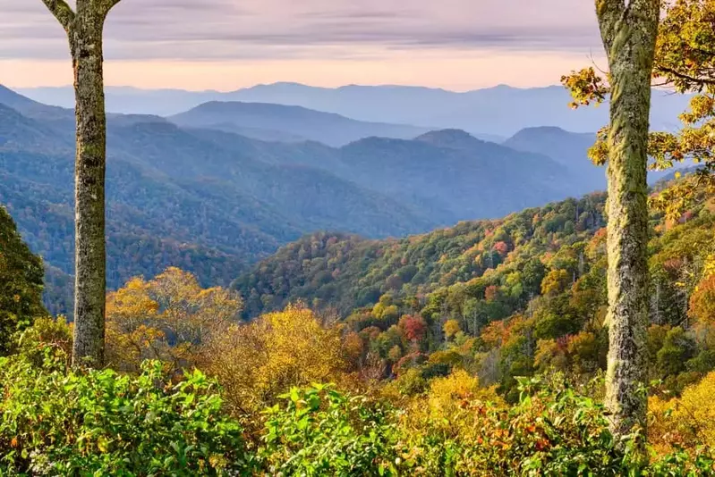 Stunning Gatlinburg TN fall foliage at Newfound Gap.