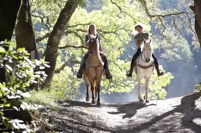 Two women horseback riding in the forest.