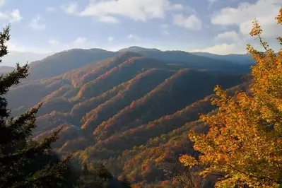 scenic view of best places to see fall colors in the Smokies