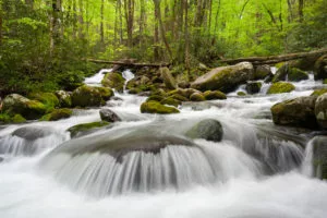 Rushing water at Roaring Fork.