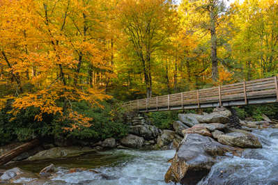 autumn hikes in the smoky mountains