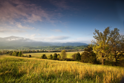 cades cove view