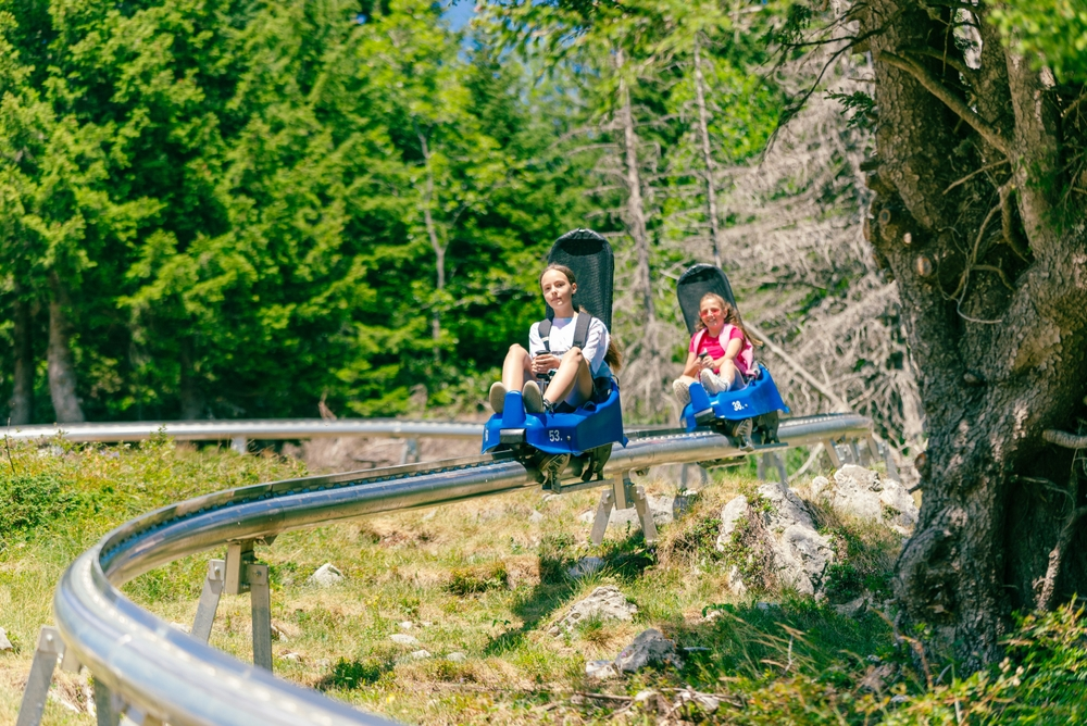 smoky mountain coaster