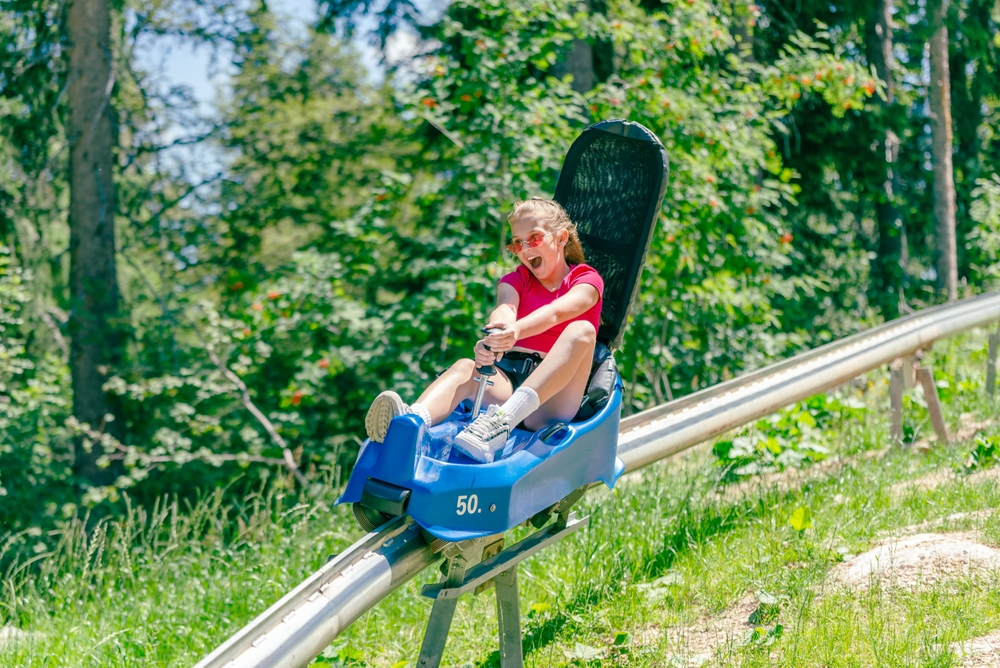 mountain coaster pigeon forge