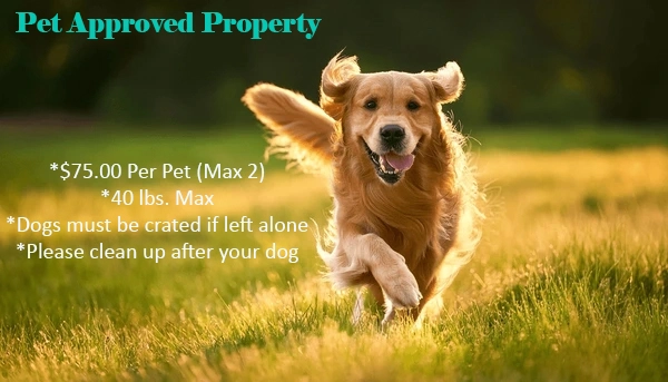 Property image, Exterior, of Dare To Bear #238